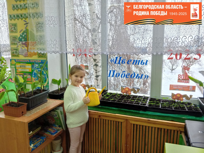 «Бархатцы Великой Победы» «Бархатцы Великой Победы».